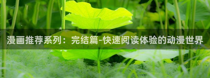 omofun安全下载：漫画推荐系列：完结篇-快速阅读体验的动漫世界