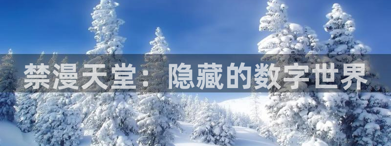 omofun怎么下：禁漫天堂：隐藏的数字世界