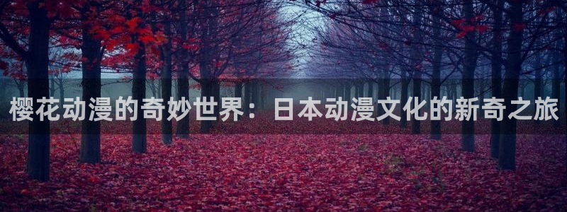 动漫软件omofun：樱花动漫的奇妙世界：日本动漫文化的新奇之旅