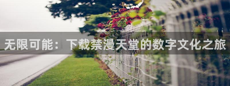 动漫共和国omofun：无限可能：下载禁漫天堂的数字文化之旅