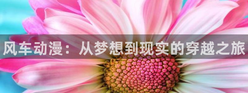 yy漫画正版：风车动漫：从梦想到现实的穿越之旅