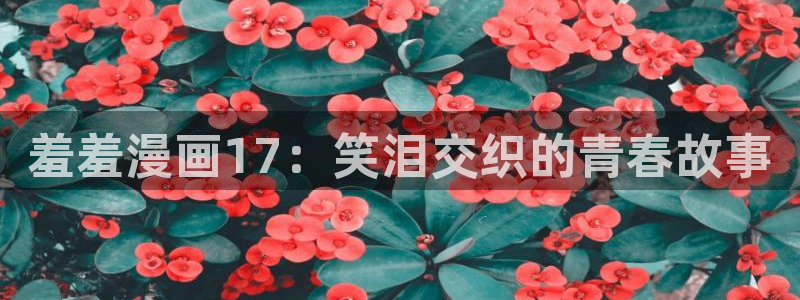 omofun在线观看动漫：羞羞漫画17：笑泪交织的青春故事