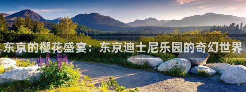 omofun动漫app官网下载：东京的樱花盛宴：东京迪士尼乐园的奇幻世界