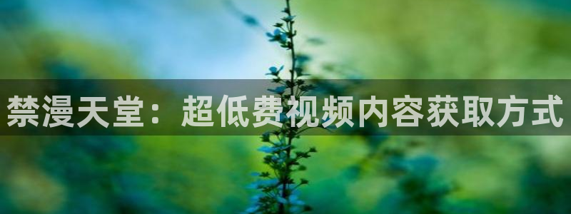 omofun动漫网在线观看：禁漫天堂：超低费视频内容获取方式