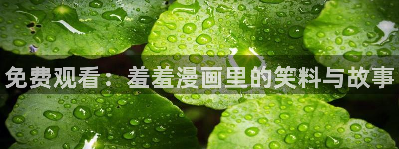 omofun纯净版无广告：免费观看：羞羞漫画里的笑料与故事